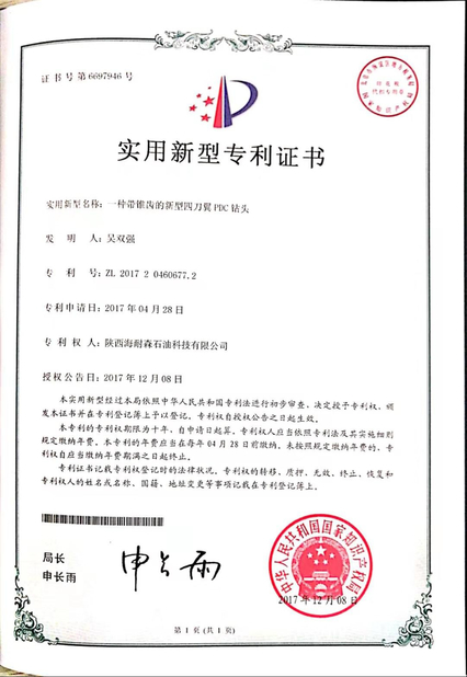 চীন Shaanxi Hainaisen Petroleum Technology Co.,Ltd সার্টিফিকেশন